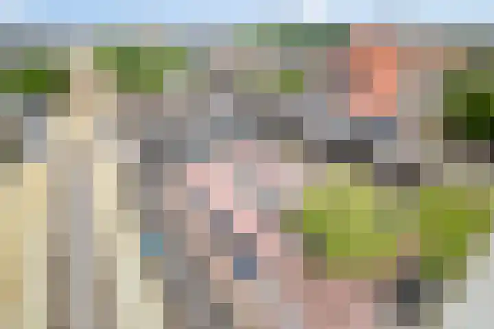 Eesterwaard 130 Zoetermeer thumbnail 23