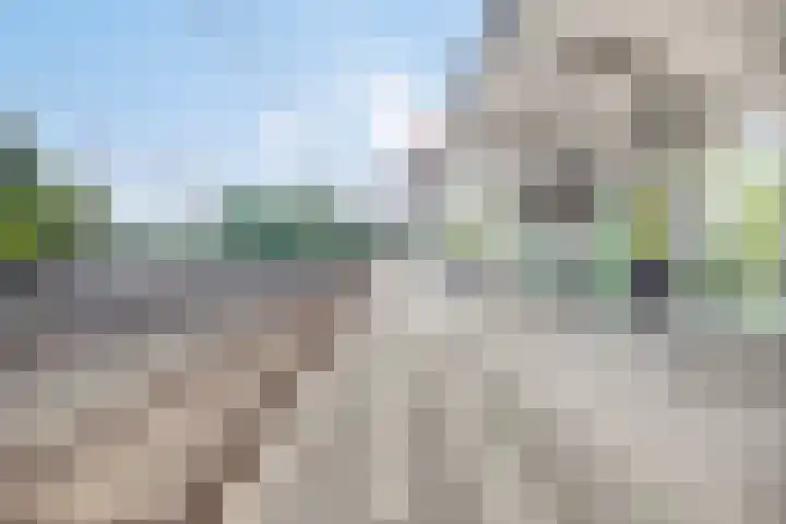 Eesterwaard 130 Zoetermeer thumbnail 41