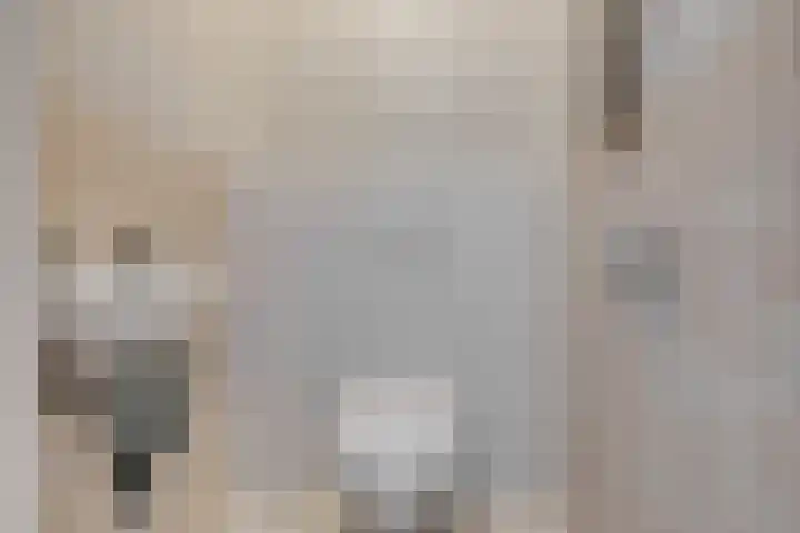 Eesterwaard 90 Zoetermeer thumbnail 11