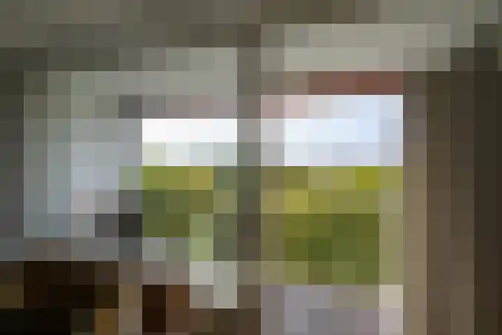 Eesterwaard 90 Zoetermeer thumbnail 17