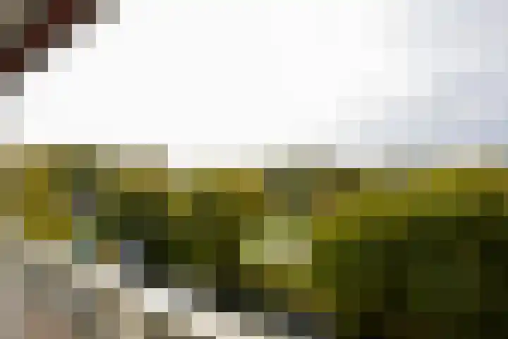 Eesterwaard 90 Zoetermeer thumbnail 18
