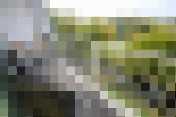 Eesterwaard 90 Zoetermeer thumbnail 19