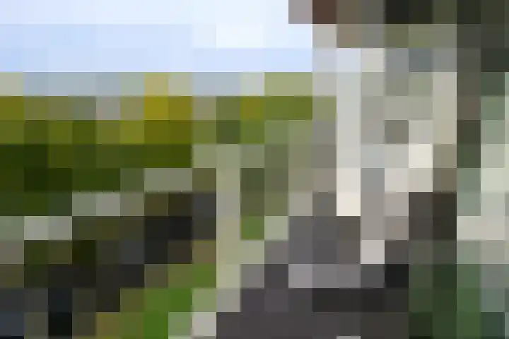 Eesterwaard 90 Zoetermeer thumbnail 20