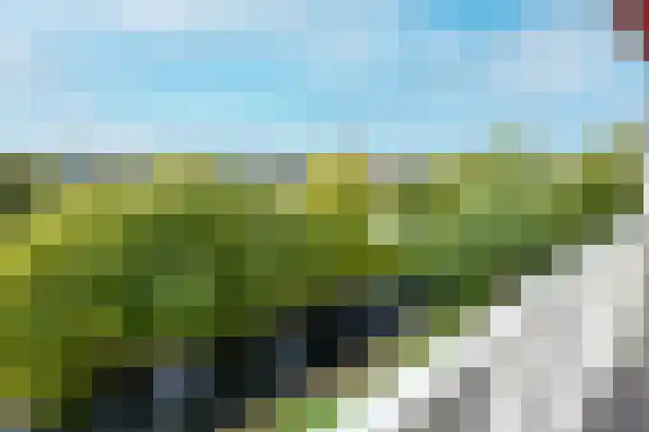 Eesterwaard 90 Zoetermeer thumbnail 21