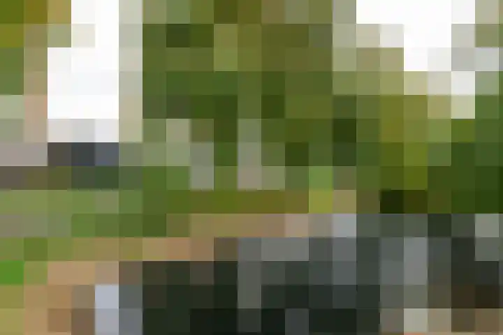 Eesterwaard 90 Zoetermeer thumbnail 36