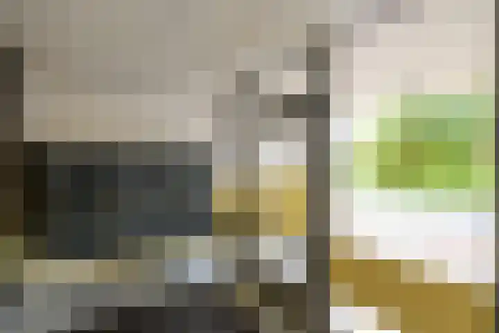 Eesterwaard 90 Zoetermeer thumbnail 6