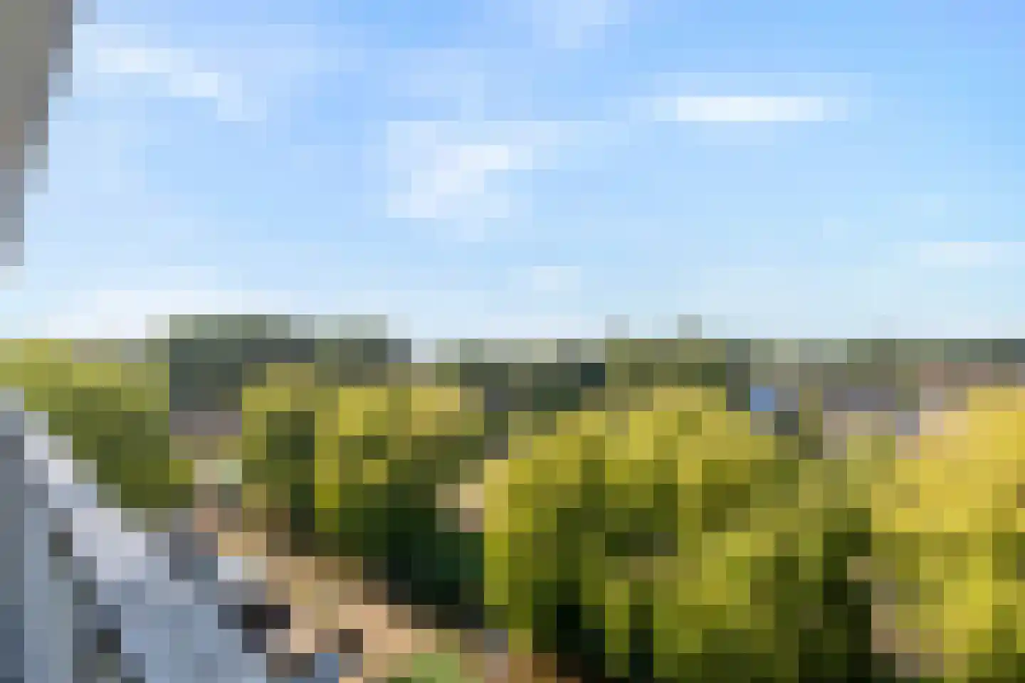 Eesterwaard 92 Zoetermeer thumbnail 28