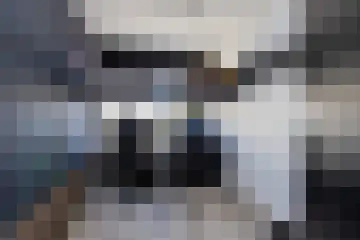 Eesterwaard 98 Zoetermeer thumbnail 27