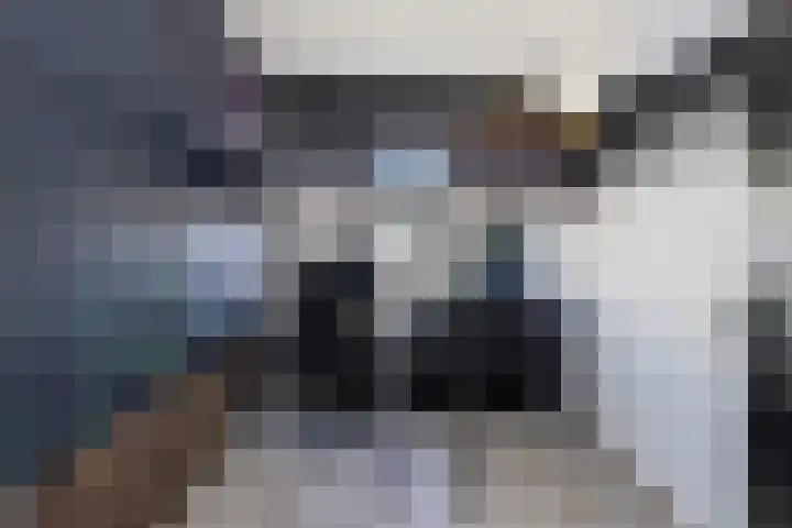 Eesterwaard 98 Zoetermeer thumbnail 28