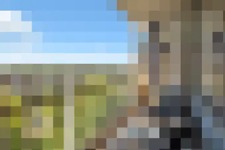 Eesterwaard 98 Zoetermeer thumbnail 34