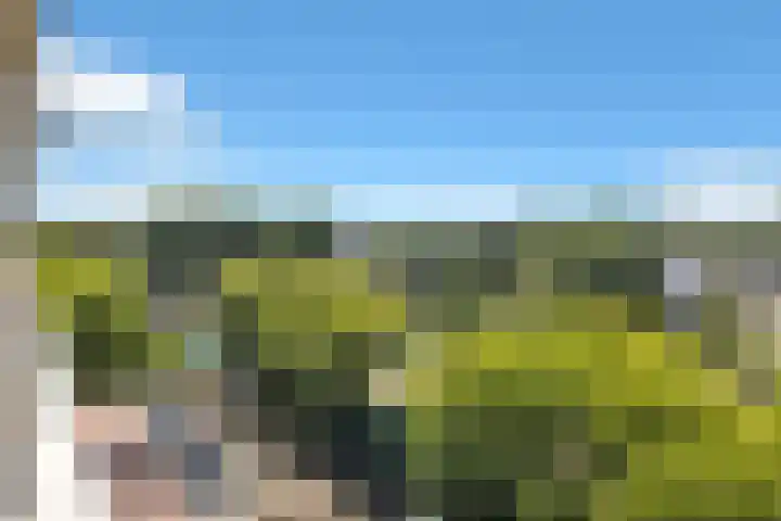 Eesterwaard 98 Zoetermeer thumbnail 36