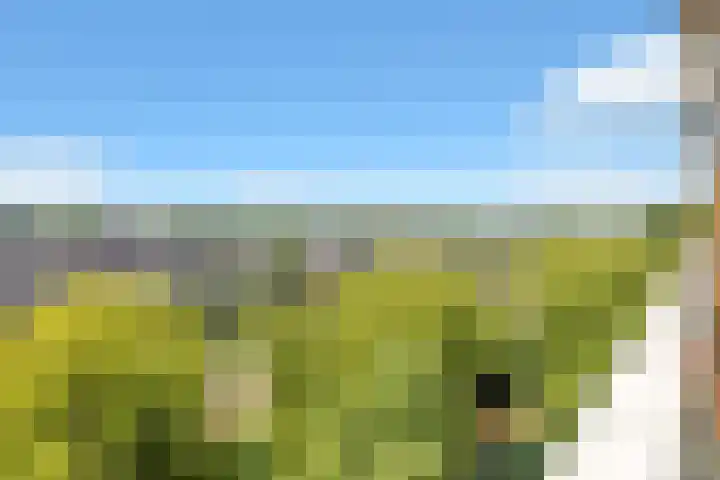 Eesterwaard 98 Zoetermeer thumbnail 37