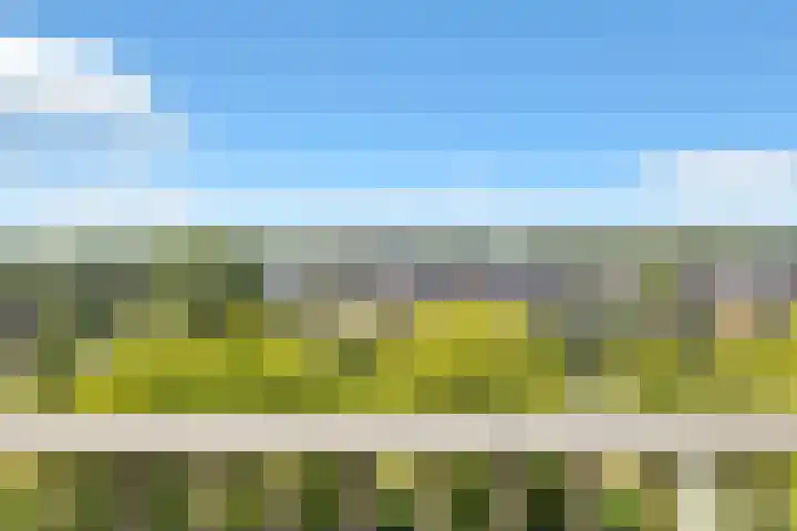 Eesterwaard 98 Zoetermeer thumbnail 38