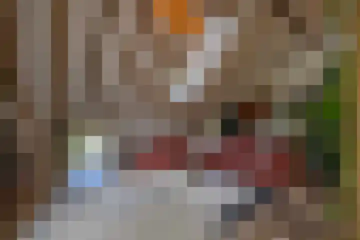 Eesterweg 44 Doezum thumbnail 10