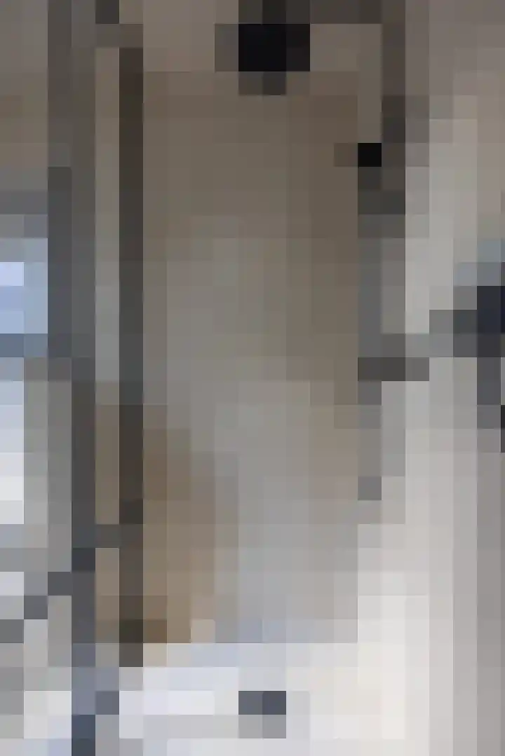 Eesterweg 44 Doezum thumbnail 21