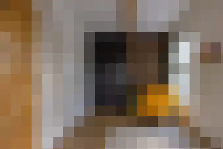 Eesterweg 44 Doezum thumbnail 28
