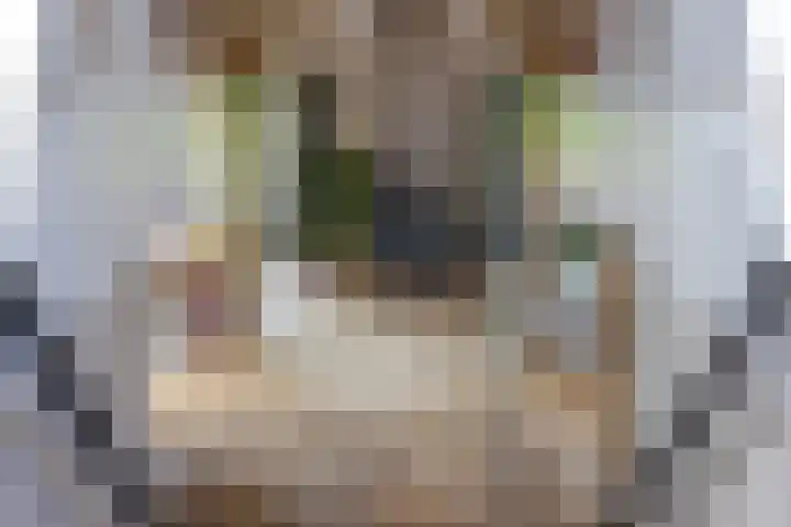 Eesterweg 44 Doezum thumbnail 31