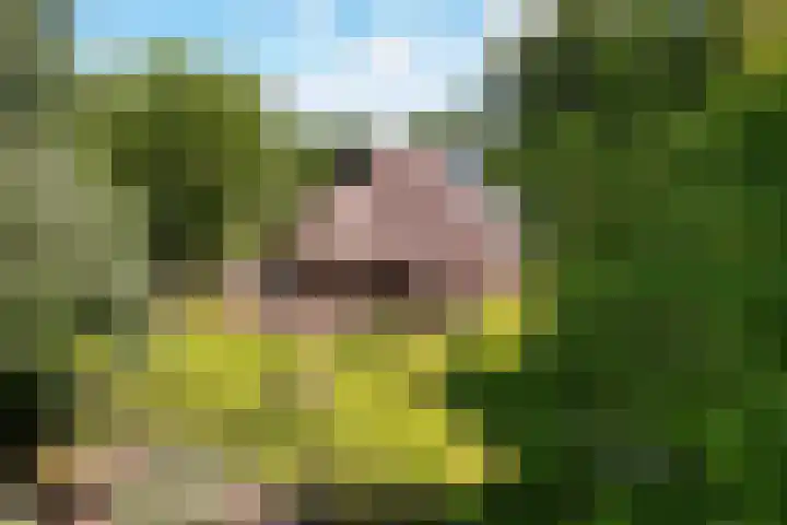 Eesterweg 44 Doezum thumbnail 39