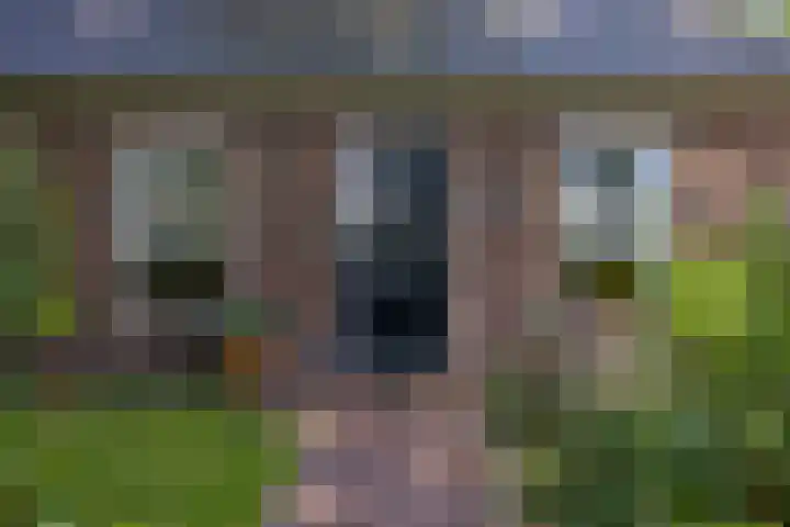 Eesterweg 44 Doezum thumbnail 4