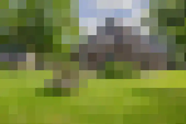 Eesterweg 44 Doezum thumbnail 40