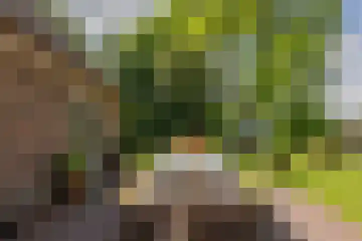 Eesterweg 44 Doezum thumbnail 41