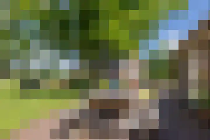 Eesterweg 44 Doezum thumbnail 42
