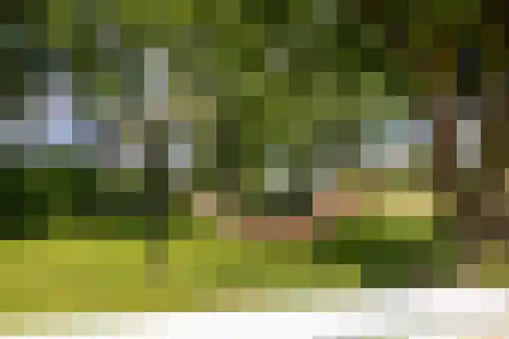Eesterweg 44 Doezum thumbnail 43