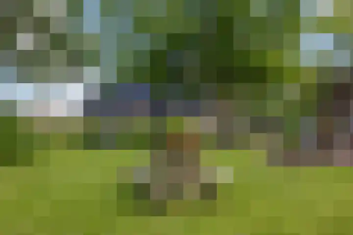 Eesterweg 44 Doezum thumbnail 44