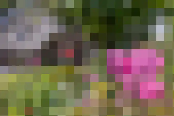 Eesterweg 44 Doezum thumbnail 45
