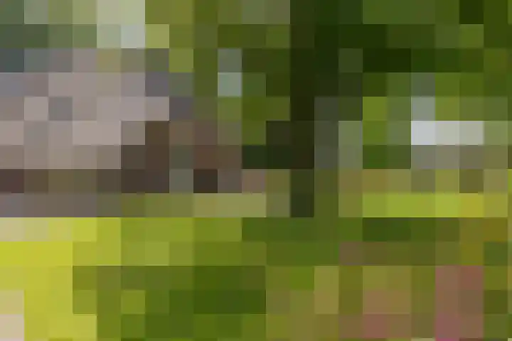 Eesterweg 44 Doezum thumbnail 46