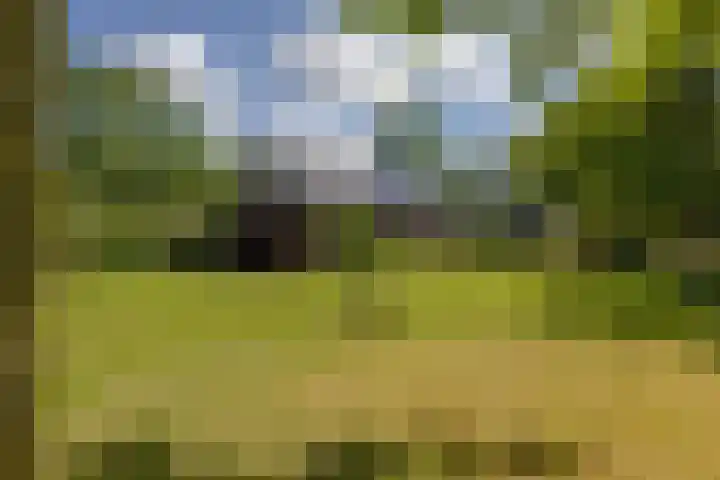 Eesterweg 44 Doezum thumbnail 47