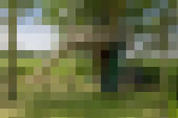 Eesterweg 44 Doezum thumbnail 49