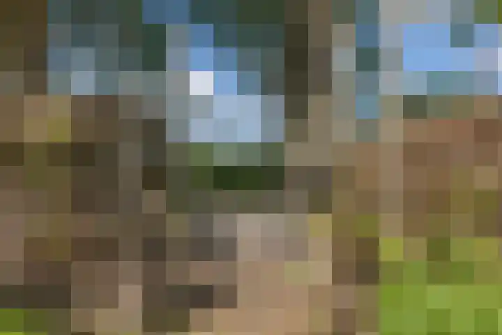 Eesterweg 44 Doezum thumbnail 50