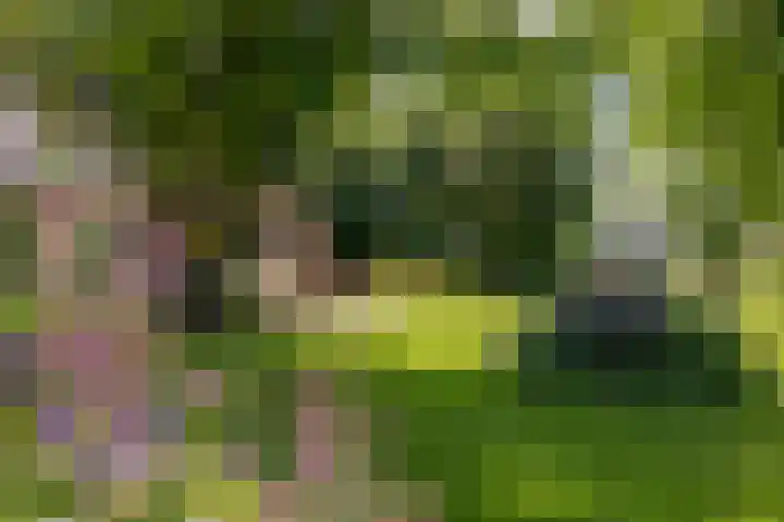 Eesterweg 44 Doezum thumbnail 51