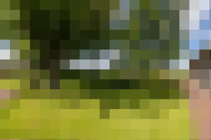 Eesterweg 44 Doezum thumbnail 52