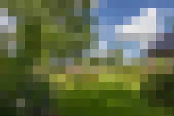 Eesterweg 44 Doezum thumbnail 53