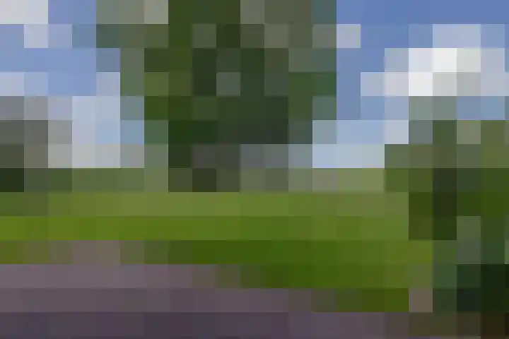 Eesterweg 44 Doezum thumbnail 58