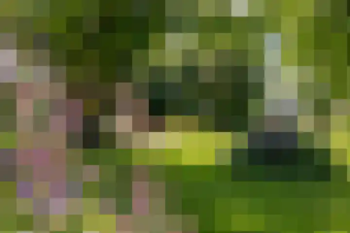 Eesterweg 44 Doezum thumbnail 60