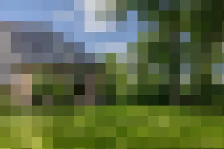 Eesterweg 44 Doezum thumbnail 63