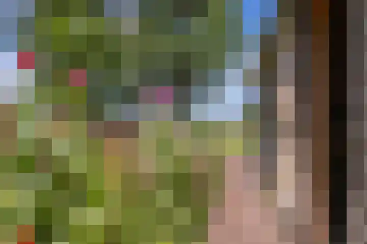 Eesterweg 44 Doezum thumbnail 65