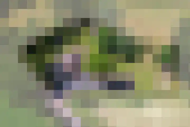 Eesterweg 44 Doezum thumbnail 77