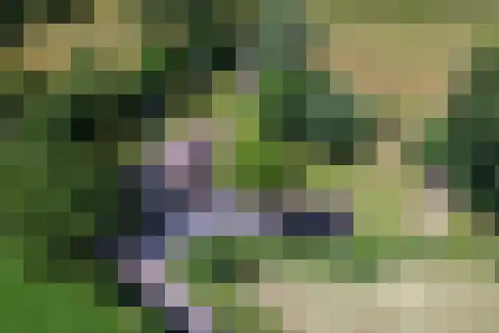 Eesterweg 44 Doezum thumbnail 78
