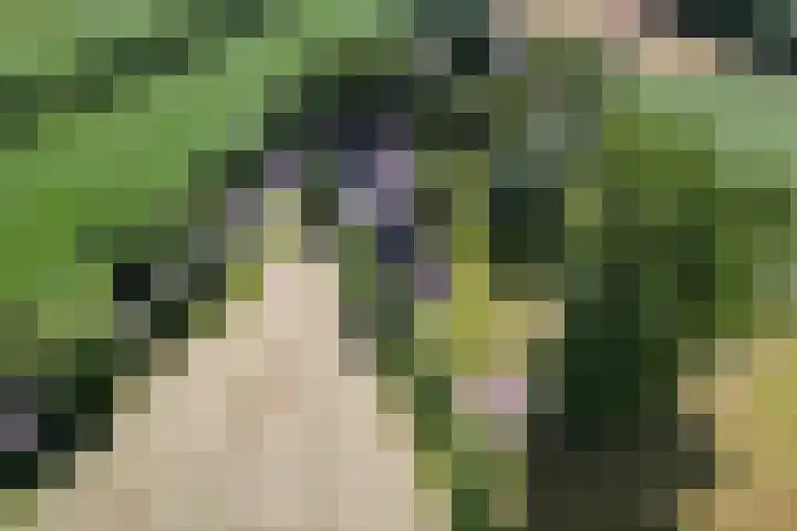 Eesterweg 44 Doezum thumbnail 79