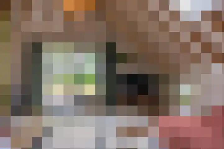 Eesterweg 44 Doezum thumbnail 8