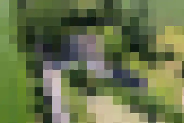 Eesterweg 44 Doezum thumbnail 81