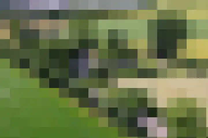Eesterweg 44 Doezum thumbnail 82