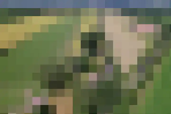 Eesterweg 44 Doezum thumbnail 83