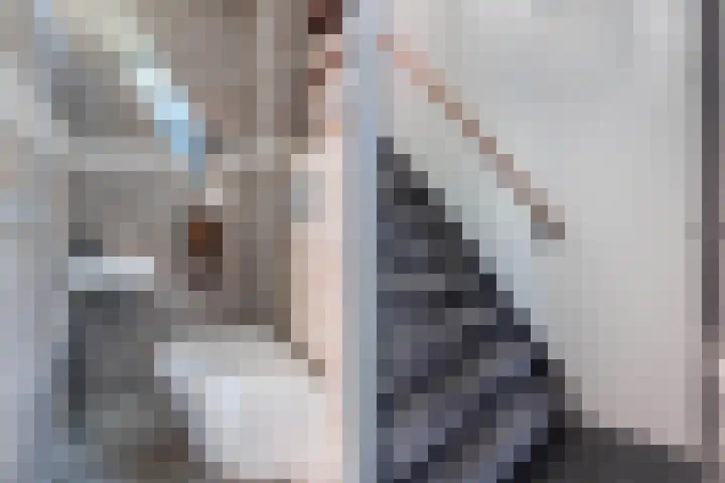 Eesveen 4 Zaandam thumbnail 12