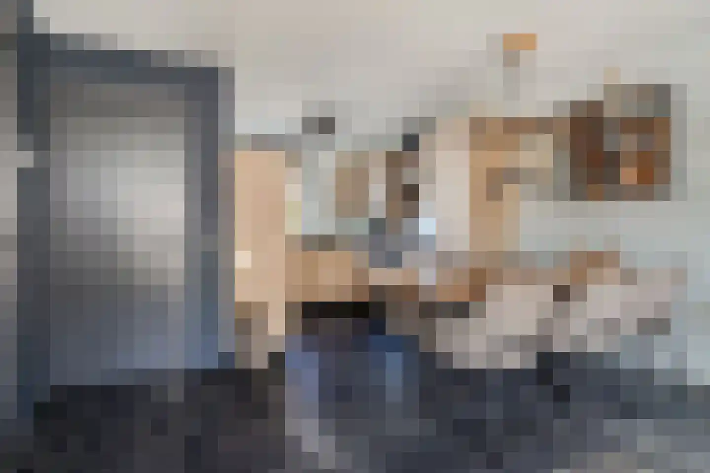 Eesveen 4 Zaandam thumbnail 17