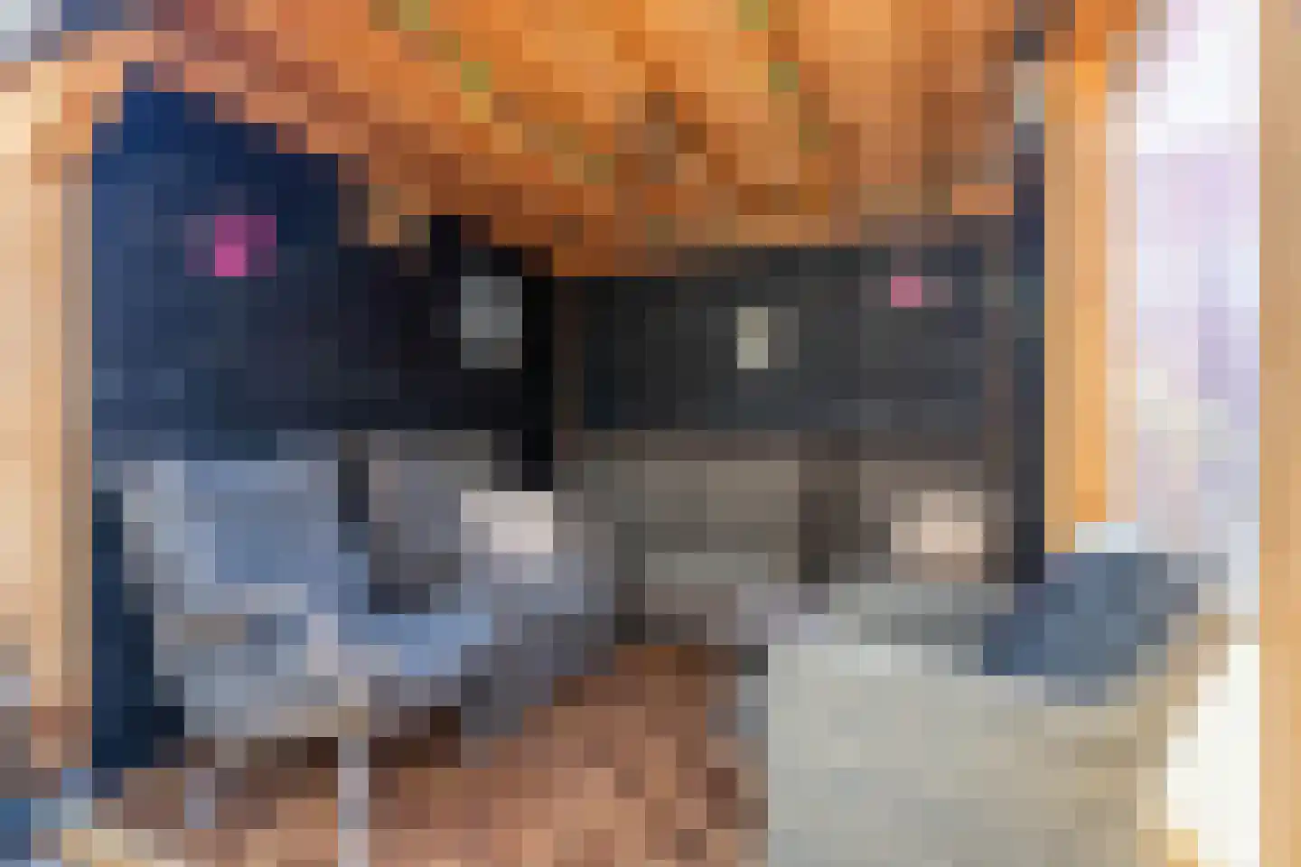 Eesveen 4 Zaandam thumbnail 32